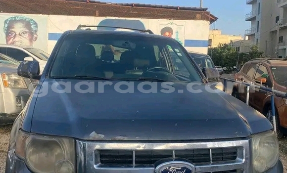 Buy Used Ford Escape Other Car in Dakar in Dakar Buy Used Ford Escape Other Car in Dakar in Dakar