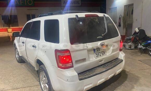 Dieundeu Occasion Ford Escape White Auto in Dakar in Dakar Dieundeu Occasion Ford Escape White Auto in Dakar in Dakar