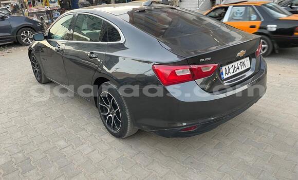 Dieundeu Occasion Chevrolet Malibu Beige Auto in Dakar in Dakar Dieundeu Occasion Chevrolet Malibu Beige Auto in Dakar in Dakar