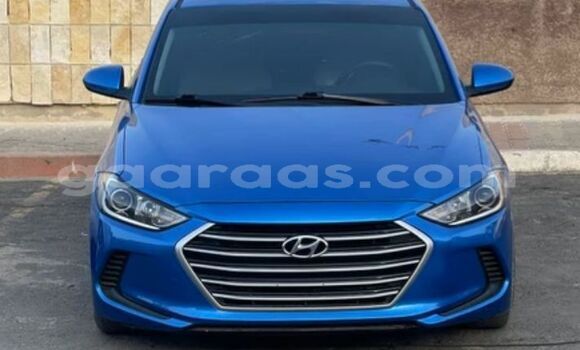Buy Import Hyundai Elantra Blue Car in Dakar in Dakar
