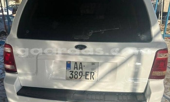 Dieundeu Occasion FORD MUSTANG White Auto in Dakar in Dakar Dieundeu Occasion FORD MUSTANG White Auto in Dakar in Dakar