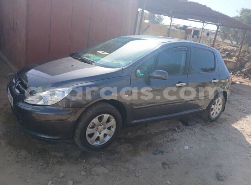 Big with watermark peugeot 307 dakar dakar 27088