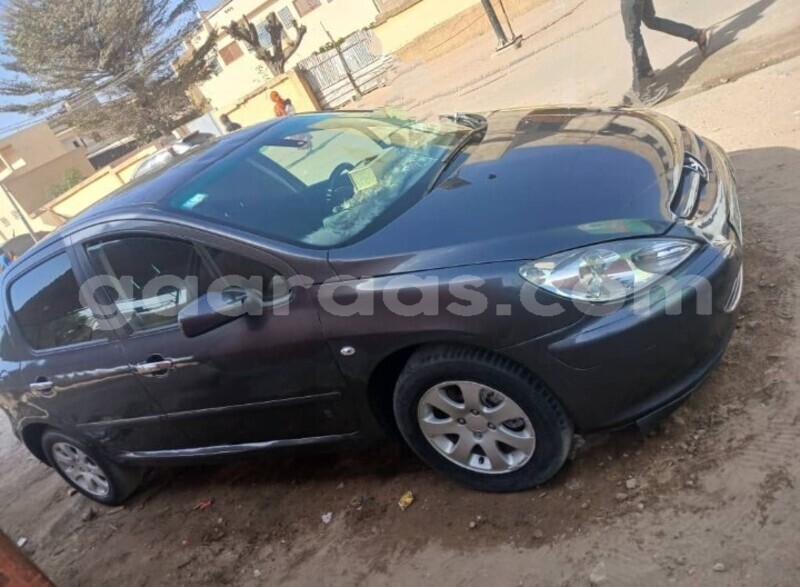 Big with watermark peugeot 307 dakar dakar 27088