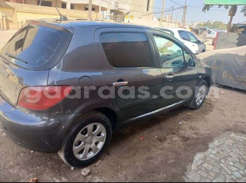 Big with watermark peugeot 307 dakar dakar 27088