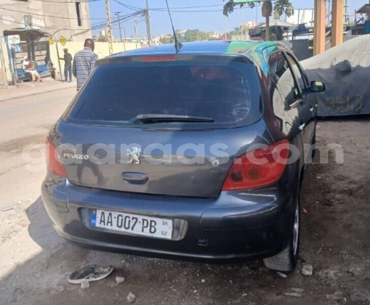 Big with watermark peugeot 307 dakar dakar 27088