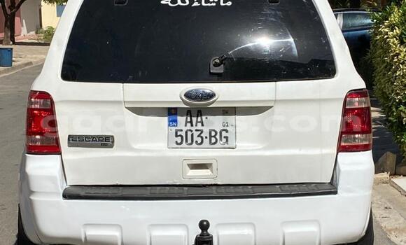 Dieundeu Occasion Ford Escape White Auto in Dakar in Dakar Dieundeu Occasion Ford Escape White Auto in Dakar in Dakar