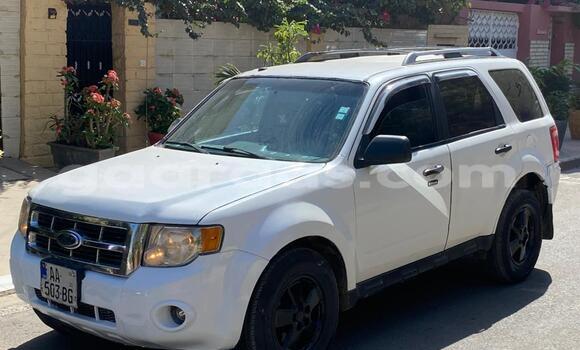 Dieundeu Occasion Ford Escape White Auto in Dakar in Dakar Dieundeu Occasion Ford Escape White Auto in Dakar in Dakar