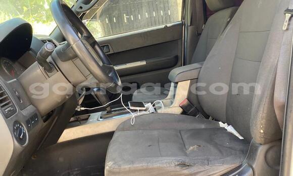 Dieundeu Occasion Ford Escape White Auto in Dakar in Dakar Dieundeu Occasion Ford Escape White Auto in Dakar in Dakar