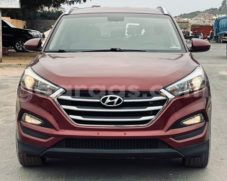 Big with watermark hyundai tucson dakar dakar 27209