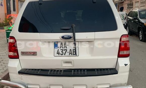 Dieundeu Occasion Ford Escape White Auto in Dakar in Dakar Dieundeu Occasion Ford Escape White Auto in Dakar in Dakar
