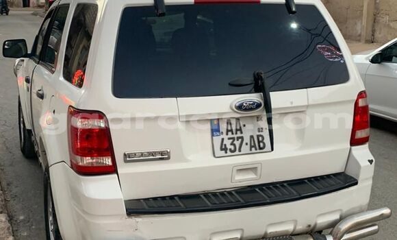 Dieundeu Occasion Ford Escape White Auto in Dakar in Dakar Dieundeu Occasion Ford Escape White Auto in Dakar in Dakar