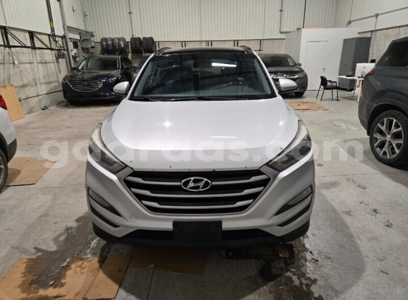 Big with watermark hyundai tucson dakar dakar 27436