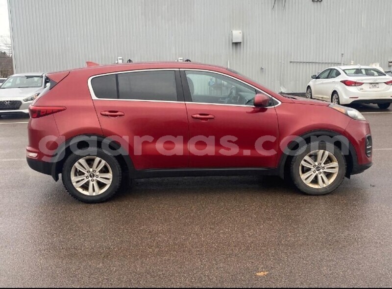 Big with watermark kia sportage dakar dakar 27442