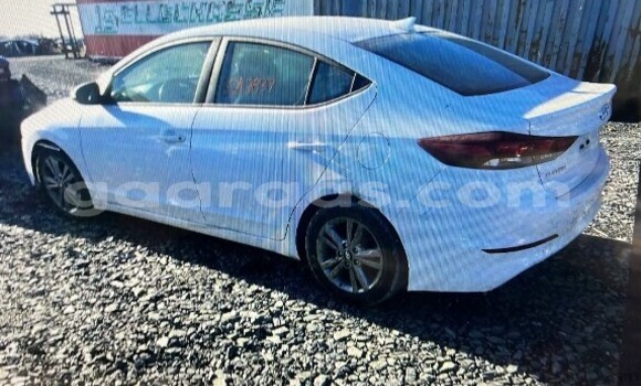 Dieundeu Occasion Hyundai Elantra White Auto in Dakar in Dakar Dieundeu Occasion Hyundai Elantra White Auto in Dakar in Dakar