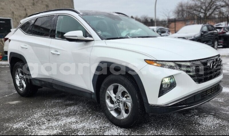 Big with watermark hyundai tucson dakar dakar 27544