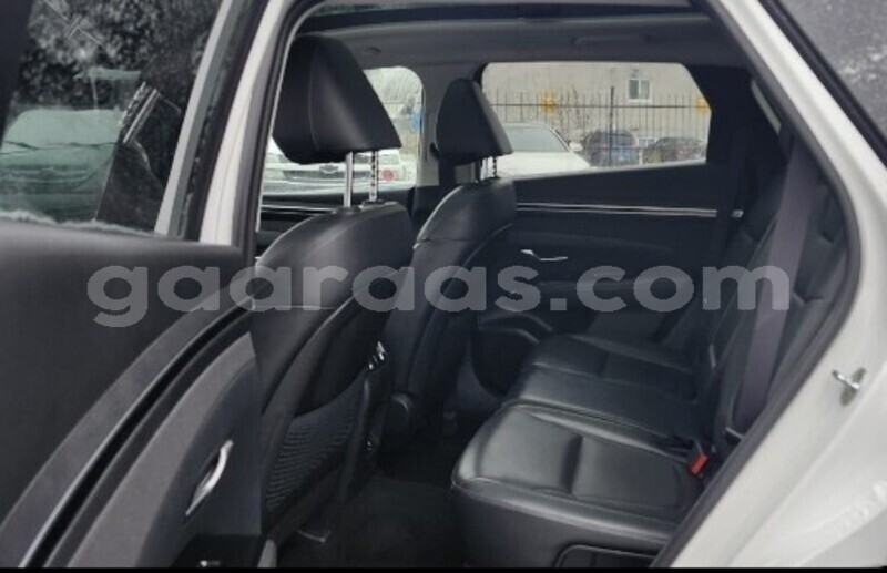 Big with watermark hyundai tucson dakar dakar 27544