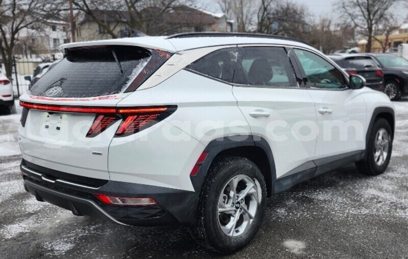 Big with watermark hyundai tucson dakar dakar 27544