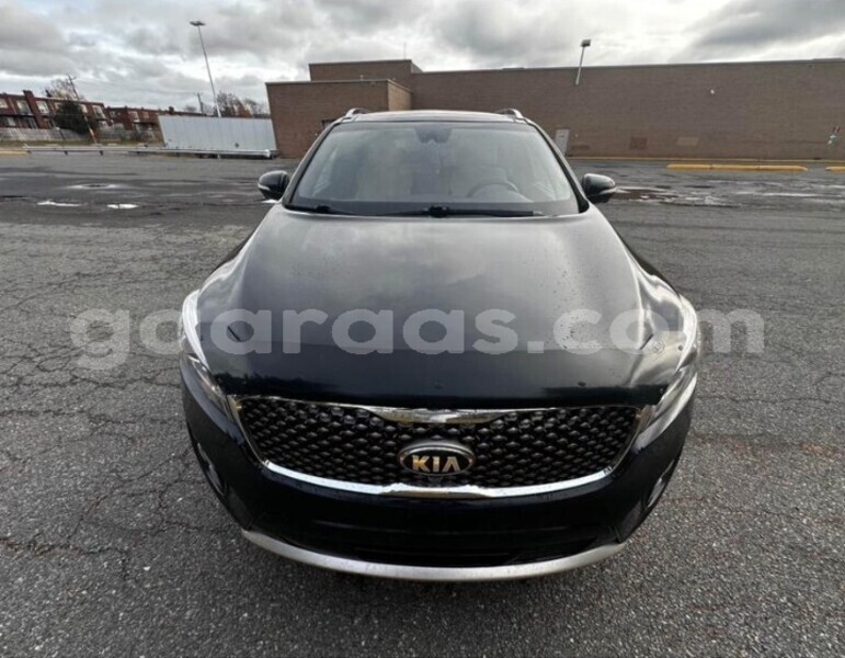 Big with watermark kia sorento dakar dakar 27545