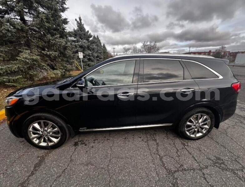 Big with watermark kia sorento dakar dakar 27545