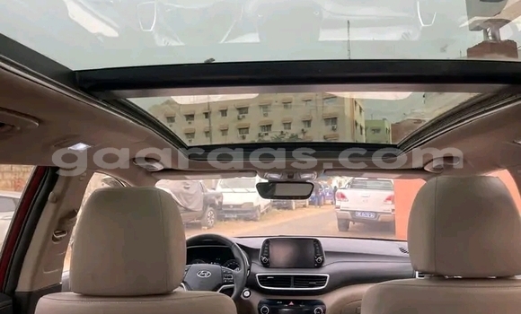 Dieundeu Occasion Hyundai Tucson Red Auto in Dakar in Dakar Dieundeu Occasion Hyundai Tucson Red Auto in Dakar in Dakar