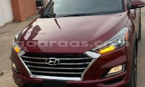 Dieundeu Occasion Hyundai Tucson Red Auto in Dakar in Dakar Dieundeu Occasion Hyundai Tucson Red Auto in Dakar in Dakar