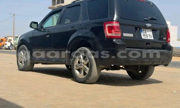 Dieundeu Occasion Ford Escape Black Auto in Dakar in Dakar Dieundeu Occasion Ford Escape Black Auto in Dakar in Dakar