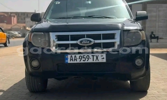 Dieundeu Occasion Ford Escape Black Auto in Dakar in Dakar Dieundeu Occasion Ford Escape Black Auto in Dakar in Dakar