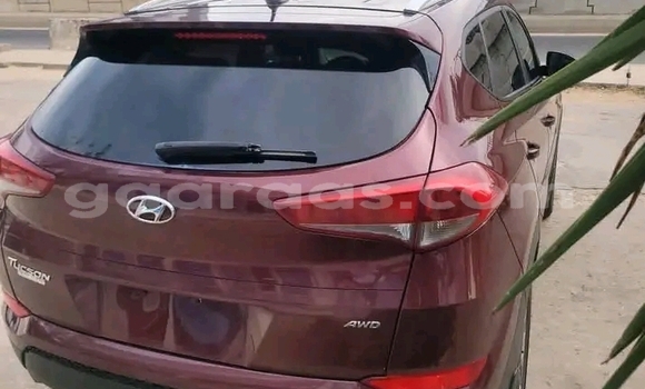 Dieundeu Occasion Hyundai Tucson Red Auto in Dakar in Dakar Dieundeu Occasion Hyundai Tucson Red Auto in Dakar in Dakar