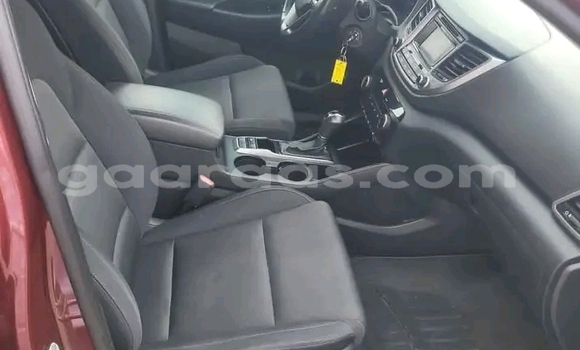 Dieundeu Occasion Hyundai Tucson Red Auto in Dakar in Dakar Dieundeu Occasion Hyundai Tucson Red Auto in Dakar in Dakar