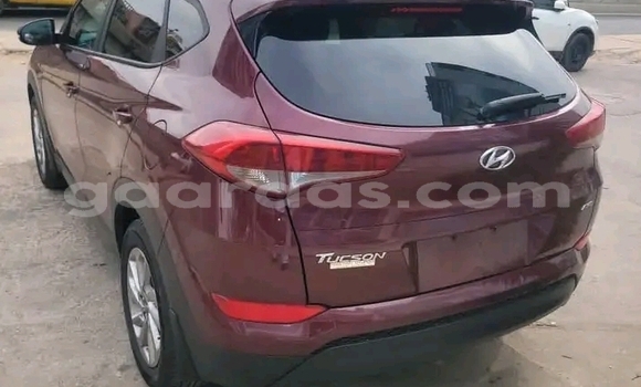 Dieundeu Occasion Hyundai Tucson Red Auto in Dakar in Dakar Dieundeu Occasion Hyundai Tucson Red Auto in Dakar in Dakar