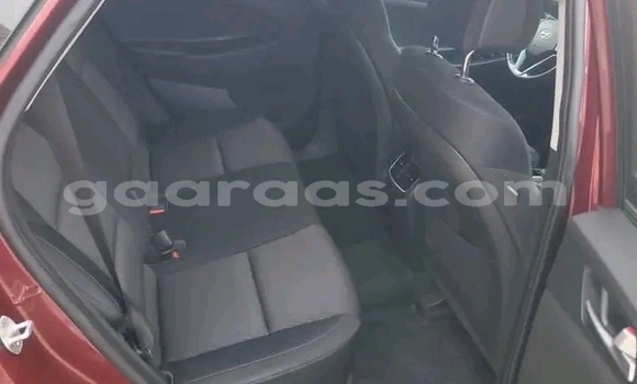 Dieundeu Occasion Hyundai Tucson Red Auto in Dakar in Dakar Dieundeu Occasion Hyundai Tucson Red Auto in Dakar in Dakar