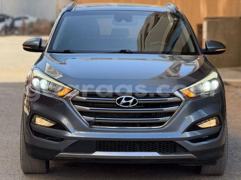 Big with watermark hyundai tucson dakar dakar 27693