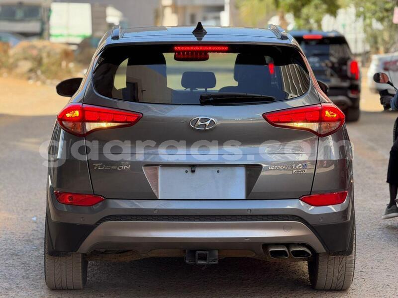 Big with watermark hyundai tucson dakar dakar 27693