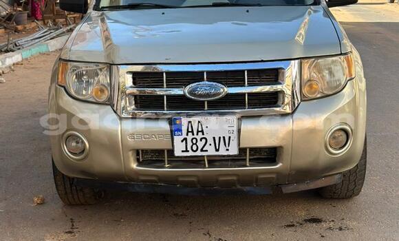 Dieundeu Occasion Ford Escape Beige Auto in Dakar in Dakar