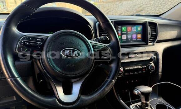 Buy Import Kia Sportage Brown Car in Dakar in Dakar Buy Import Kia Sportage Brown Car in Dakar in Dakar