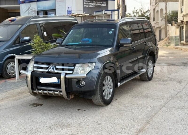 Big with watermark mitsubishi pajero dakar dakar 27765