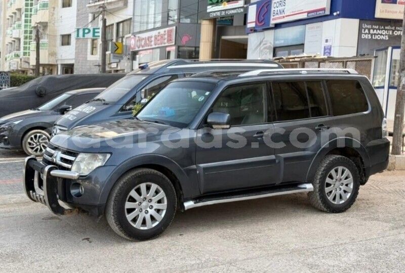 Big with watermark mitsubishi pajero dakar dakar 27765