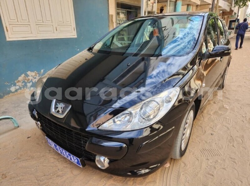 Big with watermark peugeot 307 dakar dakar 28019