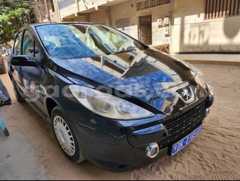 Big with watermark peugeot 307 dakar dakar 28019