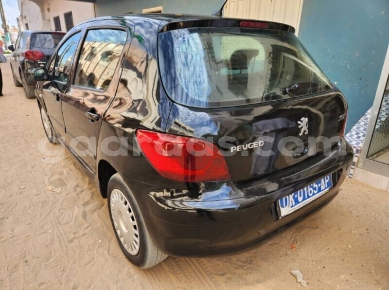 Big with watermark peugeot 307 dakar dakar 28019