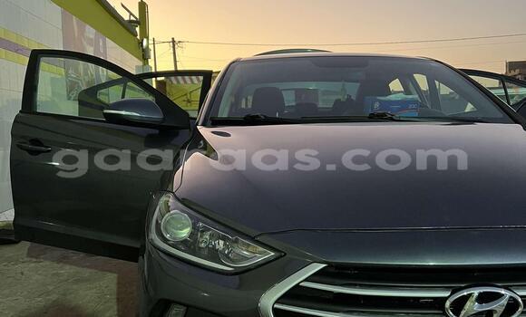 Acheter Neuf Voiture Hyundai Elantra Gris à Rufisque, Dakar Acheter Neuf Voiture Hyundai Elantra Gris à Rufisque, Dakar
