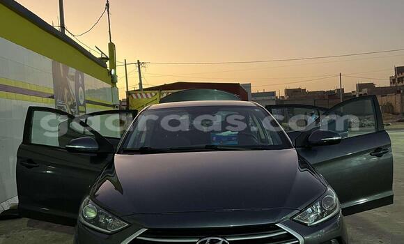 Acheter Neuf Voiture Hyundai Elantra Gris à Rufisque, Dakar Acheter Neuf Voiture Hyundai Elantra Gris à Rufisque, Dakar