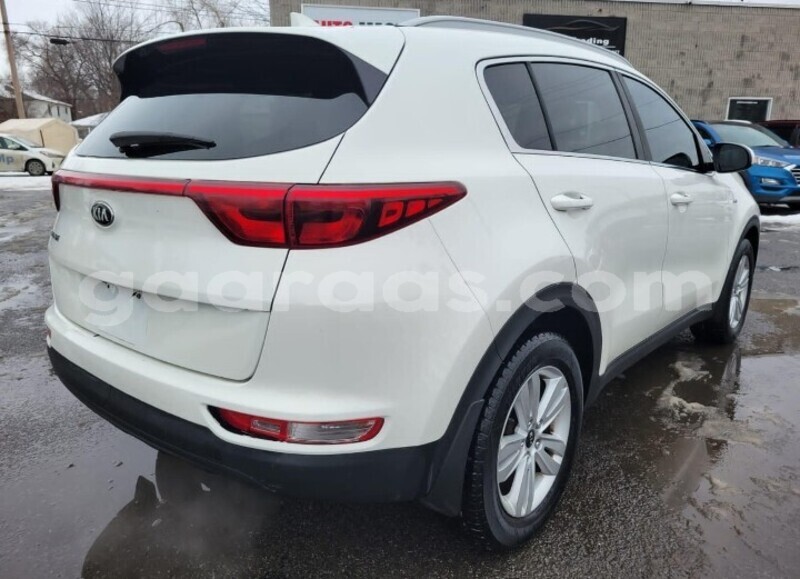 Big with watermark kia sportage dakar dakar 28045