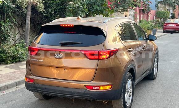 Buy New Kia Sportage Brown Car in Dakar in Dakar Buy New Kia Sportage Brown Car in Dakar in Dakar
