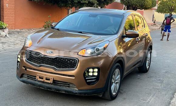 Buy New Kia Sportage Brown Car in Dakar in Dakar Buy New Kia Sportage Brown Car in Dakar in Dakar