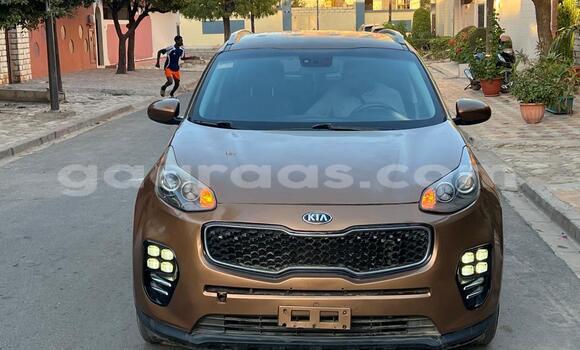 Buy New Kia Sportage Brown Car in Dakar in Dakar Buy New Kia Sportage Brown Car in Dakar in Dakar