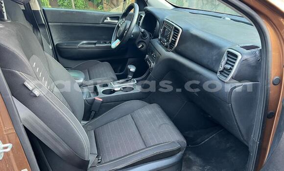 Buy New Kia Sportage Brown Car in Dakar in Dakar Buy New Kia Sportage Brown Car in Dakar in Dakar