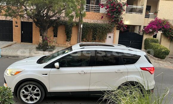 Buy New Ford Escape White Car in Dakar in Dakar Buy New Ford Escape White Car in Dakar in Dakar