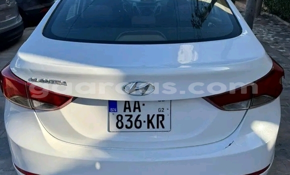 Buy Used Hyundai Elantra White Car in Dakar in Dakar Buy Used Hyundai Elantra White Car in Dakar in Dakar