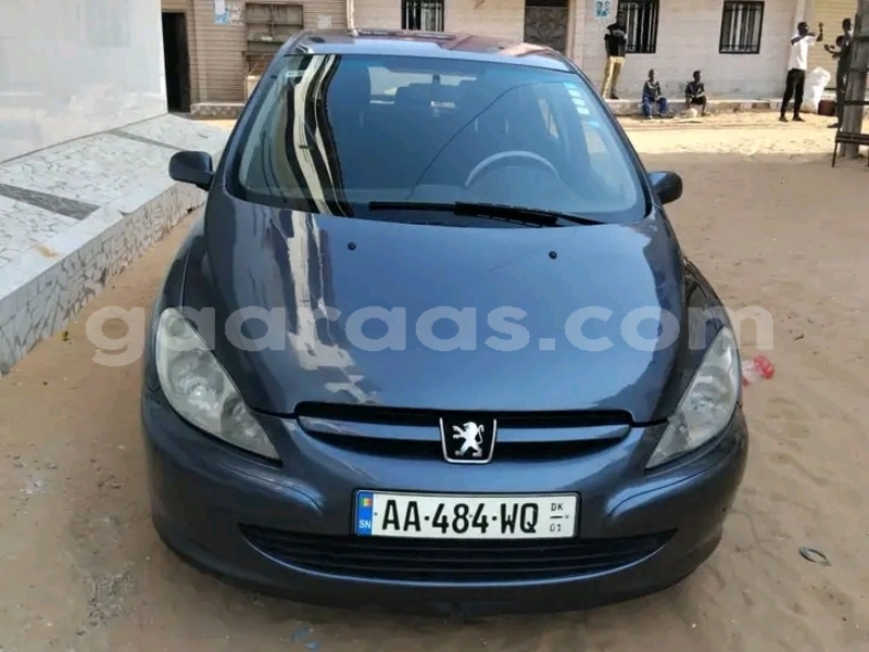 Big with watermark peugeot 307 dakar dakar 28501